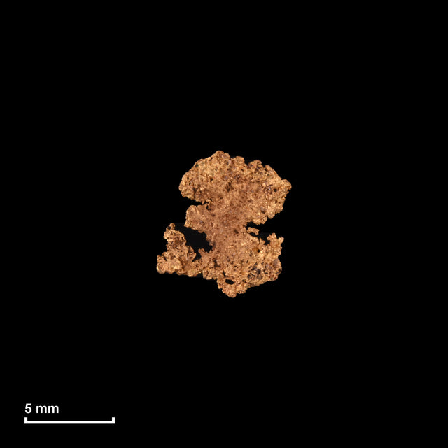 Goldnugget Nr. 26-0030 mit Maßstab: 8,0 × 7,4 mm bei 0,22 g