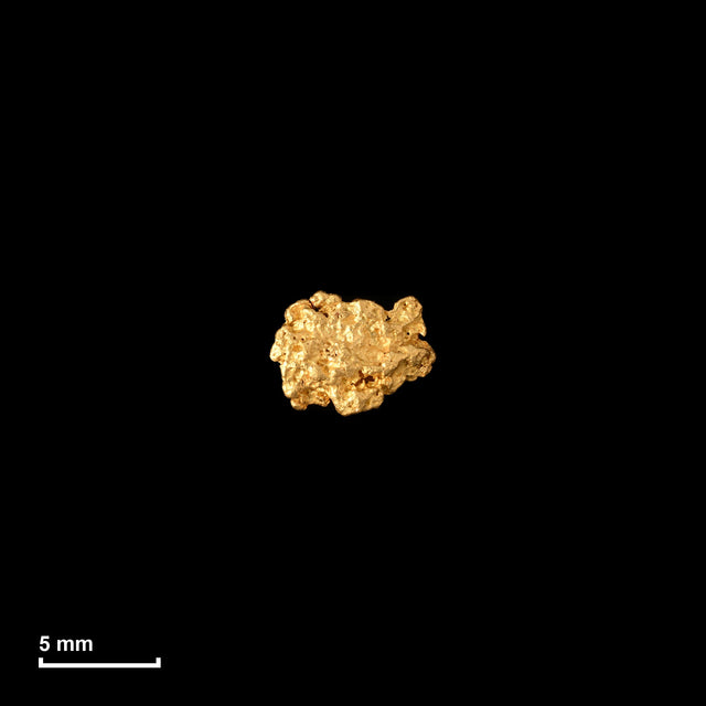Goldnugget Nr. 26-0341 in tatsächlicher Größe – alle Nuggets im gleichen Maßstab aufgenommen
