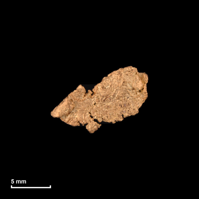 Goldnugget Nr. 26-0039 mit Maßstab: 12,4 × 8,6 mm bei 0,33 g
