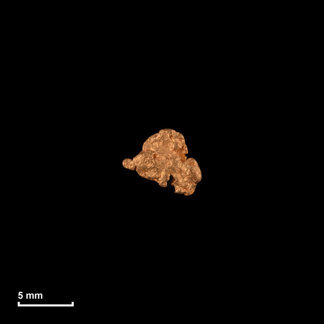 Goldnugget Nr. 26-0186 in tatsächlicher Größe – alle Nuggets im gleichen Maßstab aufgenommen