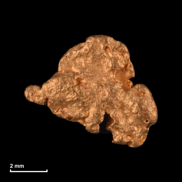 Goldnugget Nr. 26-0186 mit Maßstab: 7,1 × 6,0 mm bei 0,34 g