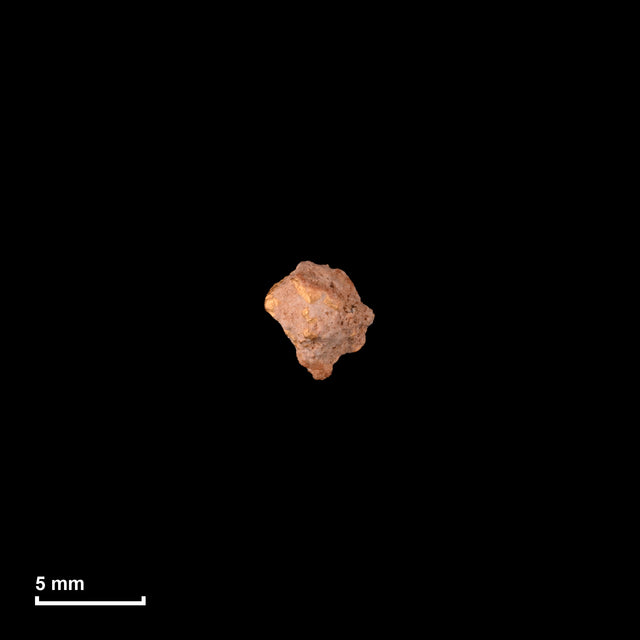 Goldnugget Nr. 26-0317 in tatsächlicher Größe – alle Nuggets im gleichen Maßstab aufgenommen
