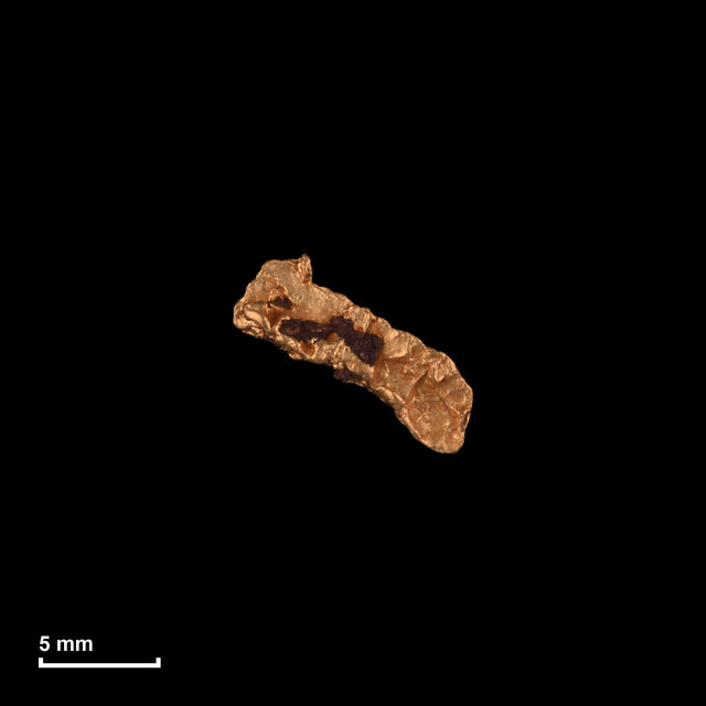 Goldnugget Nr. 26-0140 in tatsächlicher Größe – alle Nuggets im gleichen Maßstab aufgenommen