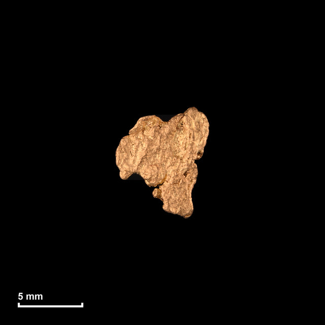 Goldnugget Nr. 26-0066 mit Maßstab: 8,3 × 7,0 mm bei 0,39 g