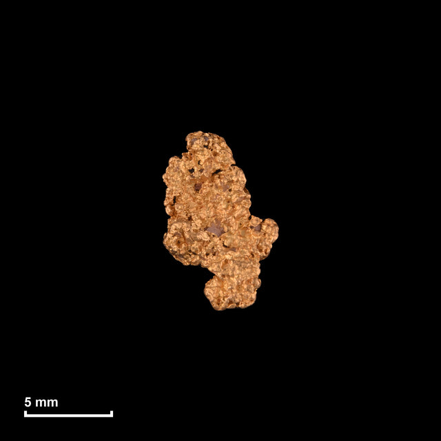 Goldnugget Nr. 26-0028 mit Maßstab: 10,0 × 6,5 mm bei 0,40 g