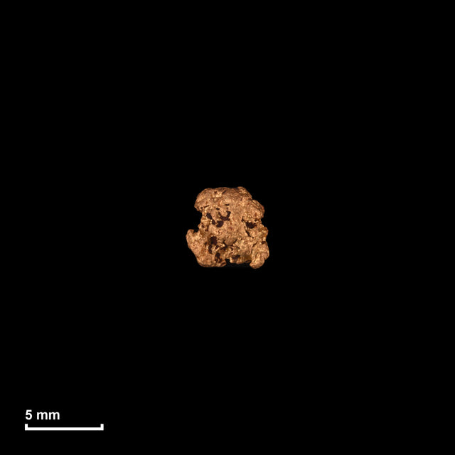 Goldnugget Nr. 26-0177 in tatsächlicher Größe – alle Nuggets im gleichen Maßstab aufgenommen
