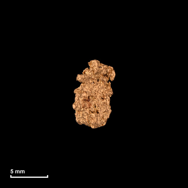 Goldnugget Nr. 26-0067 mit Maßstab: 9,0 × 5,6 mm bei 0,45 g