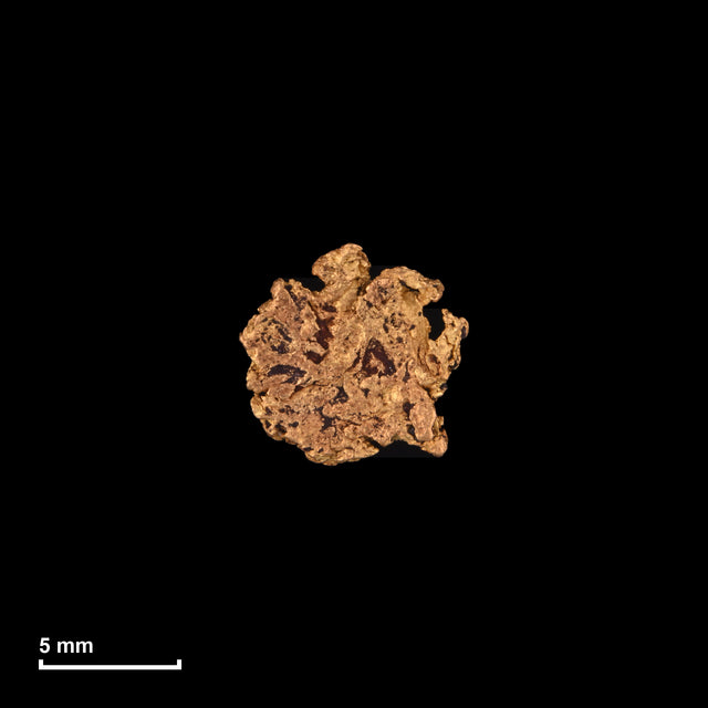Goldnugget Nr. 26-0079 mit Maßstab: 8,0 × 7,7 mm bei 0,45 g