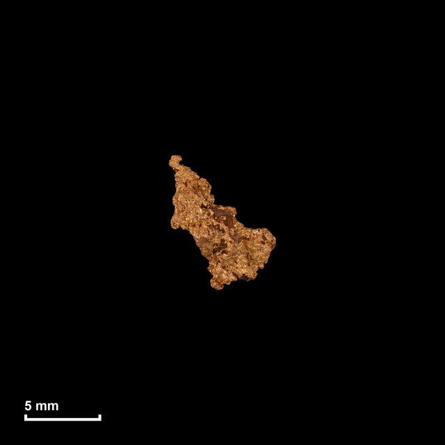 Goldnugget Nr. 26-0226 in tatsächlicher Größe – alle Nuggets im gleichen Maßstab aufgenommen