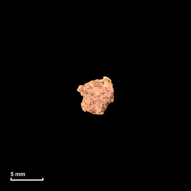 Goldnugget Nr. 26-0301 in tatsächlicher Größe – alle Nuggets im gleichen Maßstab aufgenommen