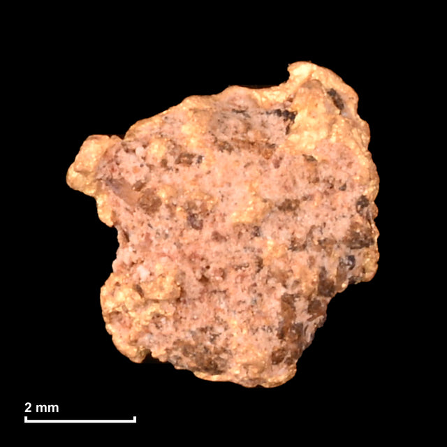 Goldnugget Nr. 26-0301 mit Maßstab: 5,9 × 5,6 mm bei 0,45 g