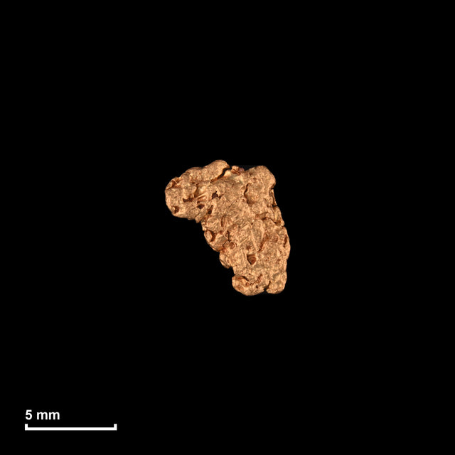 Goldnugget Nr. 26-0055 mit Maßstab: 7,3 × 6,8 mm bei 0,46 g