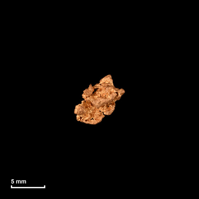 Goldnugget Nr. 26-0322 in tatsächlicher Größe – alle Nuggets im gleichen Maßstab aufgenommen
