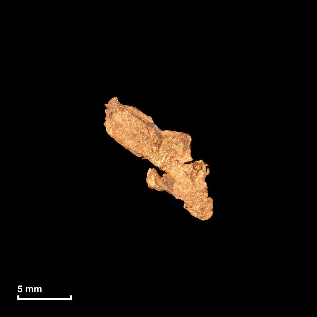 Goldnugget Nr. 26-0310 in tatsächlicher Größe – alle Nuggets im gleichen Maßstab aufgenommen