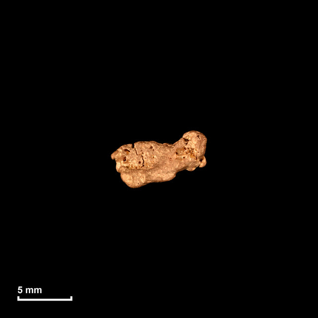 Goldnugget Nr. 26-0329 in tatsächlicher Größe – alle Nuggets im gleichen Maßstab aufgenommen