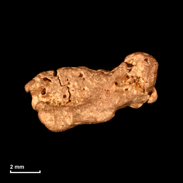 Goldnugget Nr. 26-0329 mit Maßstab: 8,8 × 5,3 mm bei 0,49 g