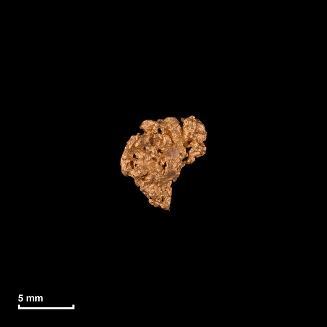 Goldnugget Nr. 26-0145 in tatsächlicher Größe – alle Nuggets im gleichen Maßstab aufgenommen
