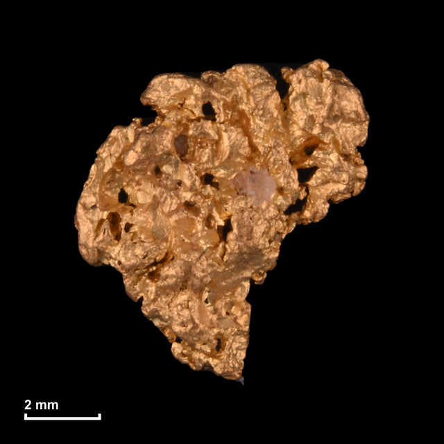 Goldnugget Nr. 26-0145 mit Maßstab: 8,5 × 7,7 mm bei 0,50 g