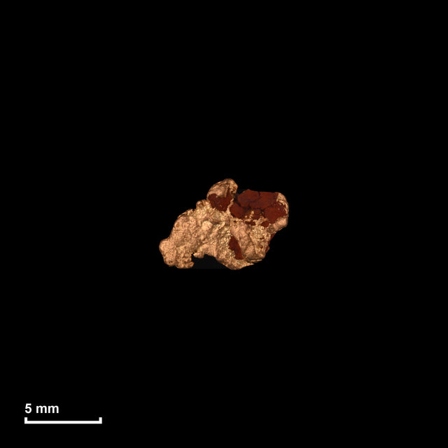 Goldnugget Nr. 26-0190 in tatsächlicher Größe – alle Nuggets im gleichen Maßstab aufgenommen