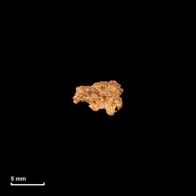 Goldnugget Nr. 26-0327 in tatsächlicher Größe – alle Nuggets im gleichen Maßstab aufgenommen