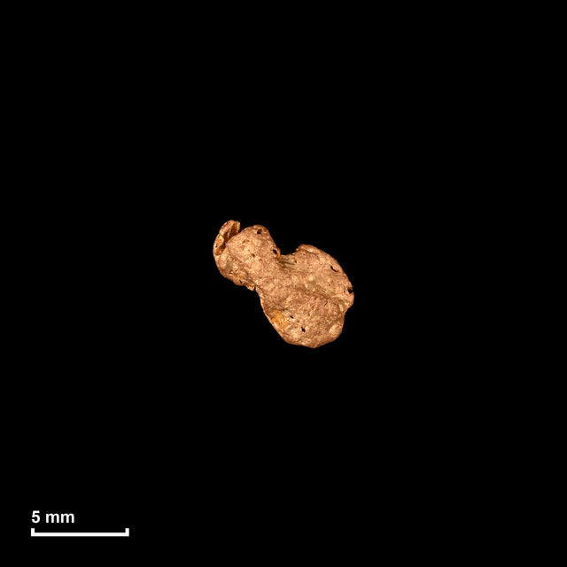 Goldnugget Nr. 26-0320 in tatsächlicher Größe – alle Nuggets im gleichen Maßstab aufgenommen
