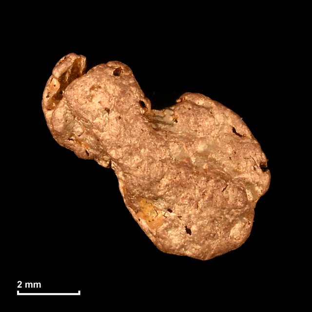 Goldnugget Nr. 26-0320 mit Maßstab: 7,3 × 6,6 mm bei 0,53 g