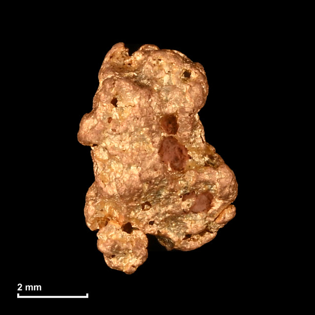 Goldnugget Nr. 26-0318 mit Maßstab: 6,6 × 4,5 mm bei 0,54 g