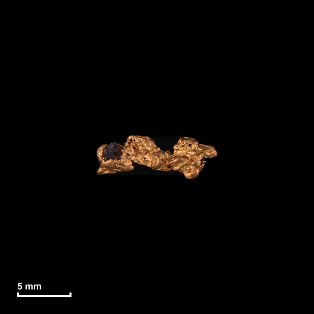 Goldnugget Nr. 26-0182 in tatsächlicher Größe – alle Nuggets im gleichen Maßstab aufgenommen