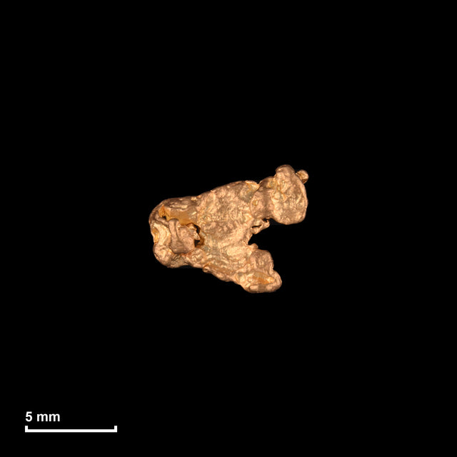 Goldnugget Nr. 26-0072 mit Maßstab: 8,7 × 7,0 mm bei 0,56 g