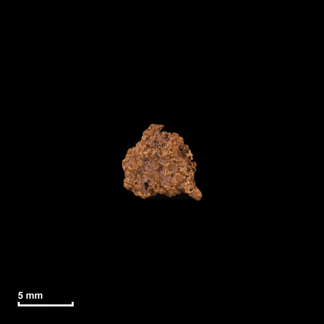Goldnugget Nr. 26-0285 in tatsächlicher Größe – alle Nuggets im gleichen Maßstab aufgenommen