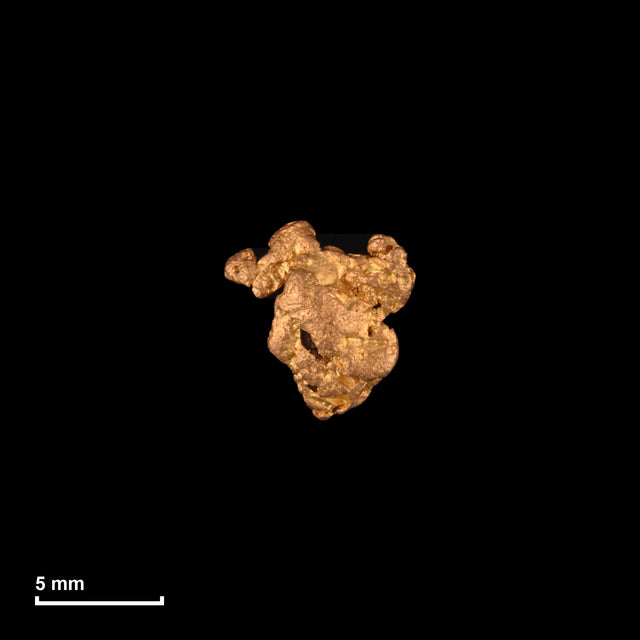 Goldnugget Nr. 26-0065 mit Maßstab: 7,7 × 7,4 mm bei 0,57 g