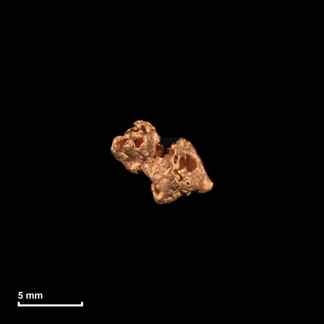 Goldnugget Nr. 26-0070 mit Maßstab: 7,8 × 6,4 mm bei 0,57 g