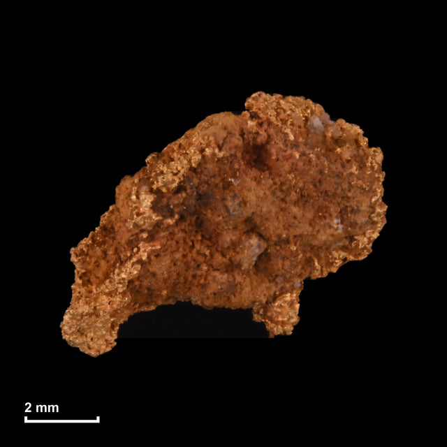 Goldnugget Nr. 26-0227 mit Maßstab: 8,8 × 7,1 mm bei 0,57 g