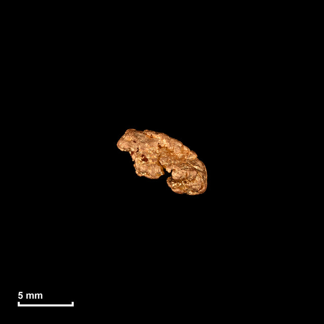 Goldnugget Nr. 26-0333 in tatsächlicher Größe – alle Nuggets im gleichen Maßstab aufgenommen