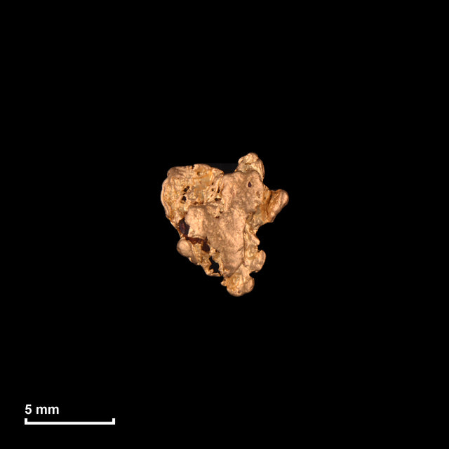 Goldnugget Nr. 26-0037 mit Maßstab: 7,9 × 7,0 mm bei 0,58 g