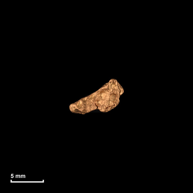 Goldnugget Nr. 26-0181 in tatsächlicher Größe – alle Nuggets im gleichen Maßstab aufgenommen