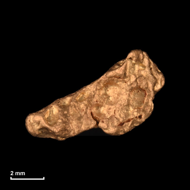 Goldnugget Nr. 26-0181 mit Maßstab: 8,2 × 5,4 mm bei 0,58 g