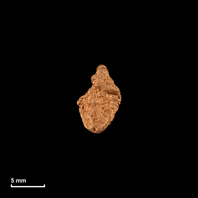 Goldnugget Nr. 26-0221 in tatsächlicher Größe – alle Nuggets im gleichen Maßstab aufgenommen