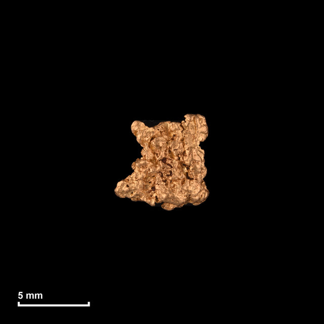 Goldnugget Nr. 26-0051 mit Maßstab: 6,6 × 6,5 mm bei 0,59 g