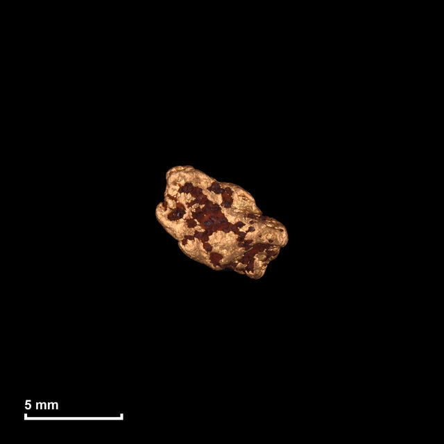 Goldnugget Nr. 26-0071 mit Maßstab: 6,6 × 5,7 mm bei 0,60 g
