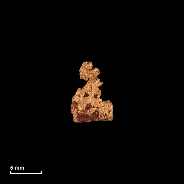 Goldnugget Nr. 26-0124 in tatsächlicher Größe – alle Nuggets im gleichen Maßstab aufgenommen