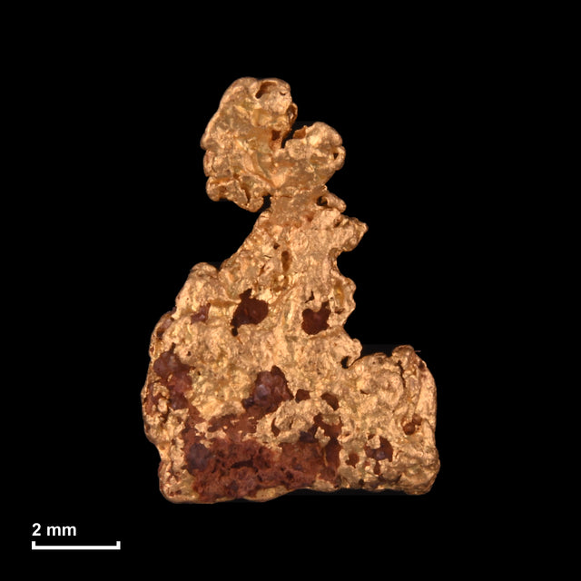 Goldnugget Nr. 26-0124 mit Maßstab: 9,7 × 6,8 mm bei 0,60 g