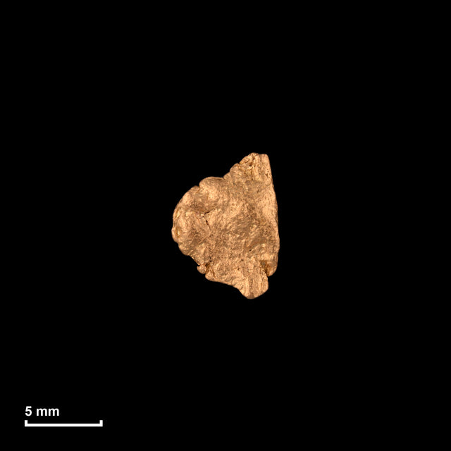 Goldnugget Nr. 26-0130 in tatsächlicher Größe – alle Nuggets im gleichen Maßstab aufgenommen