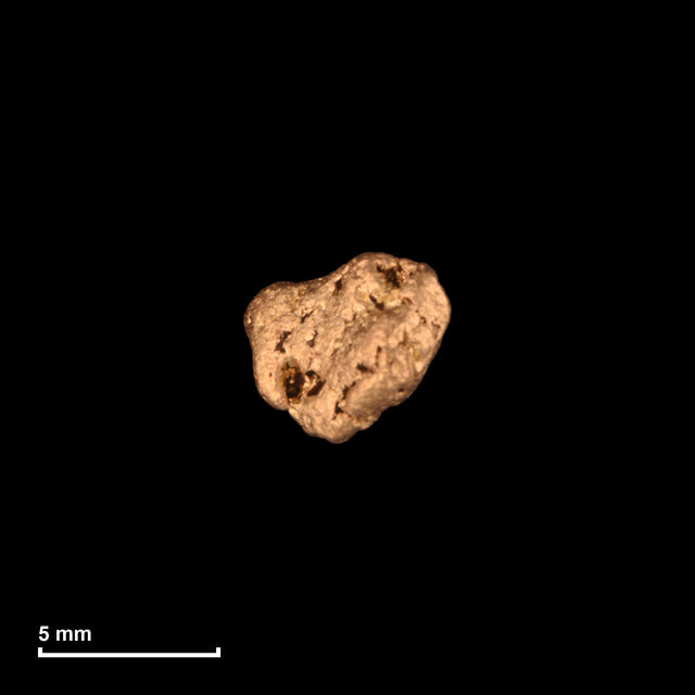Goldnugget Nr. 26-0038 mit Maßstab: 5,7 × 5,3 mm bei 0,62 g