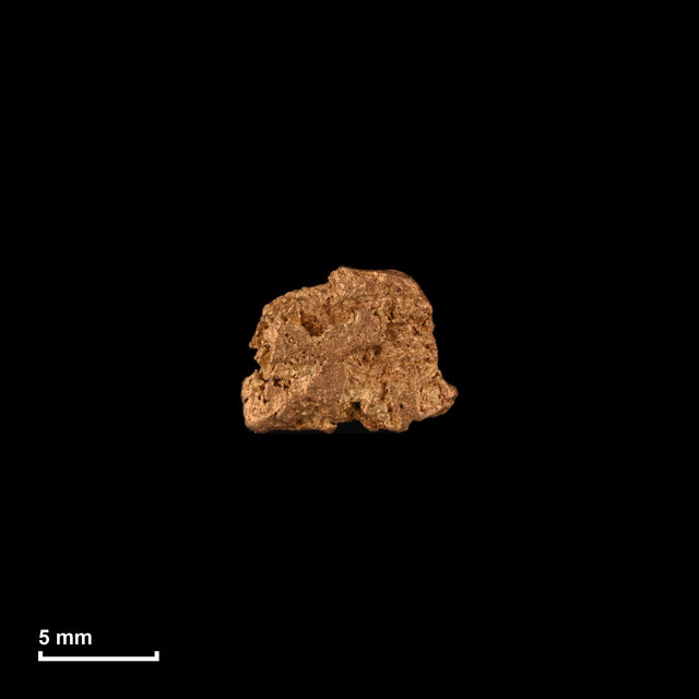 Goldnugget Nr. 26-0228 in tatsächlicher Größe – alle Nuggets im gleichen Maßstab aufgenommen