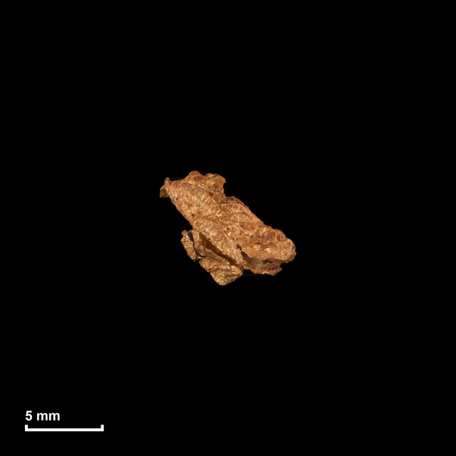 Goldnugget Nr. 26-0286 in tatsächlicher Größe – alle Nuggets im gleichen Maßstab aufgenommen