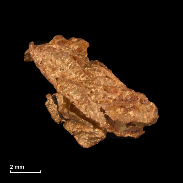 Goldnugget Nr. 26-0286 mit Maßstab: 8,7 × 7,3 mm bei 0,63 g