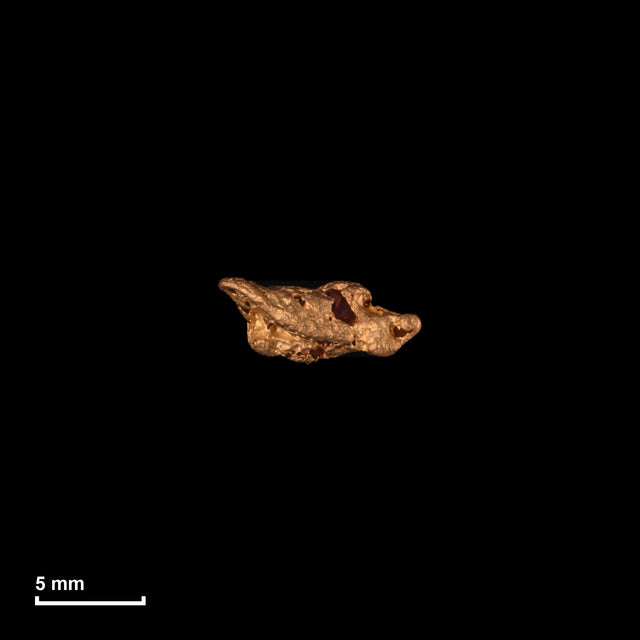 Goldnugget Nr. 26-0191 in tatsächlicher Größe – alle Nuggets im gleichen Maßstab aufgenommen