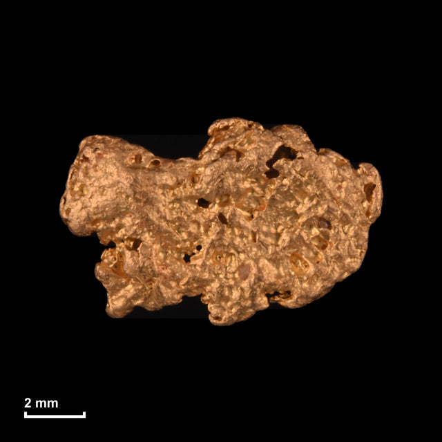 Goldnugget Nr. 26-0214 mit Maßstab: 10,6 × 6,8 mm bei 0,65 g