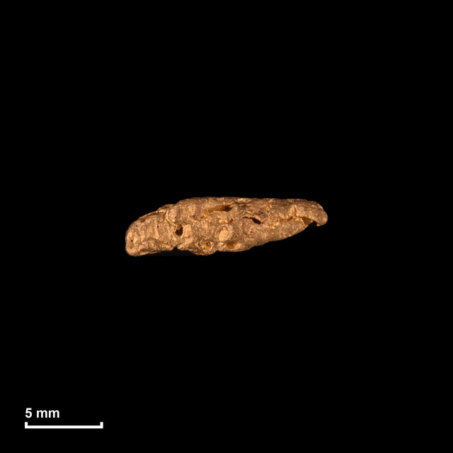 Goldnugget Nr. 26-0147 in tatsächlicher Größe – alle Nuggets im gleichen Maßstab aufgenommen